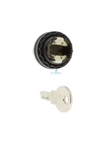 Eaton M22-wrs3 selettore a chiave 3 posizioni permanenti piatto ms1