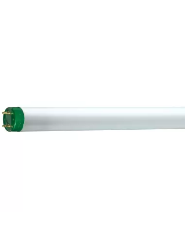 Philips MASTER TL-D Eco lampada fluorescente 51,4 W G13 Bianco freddo