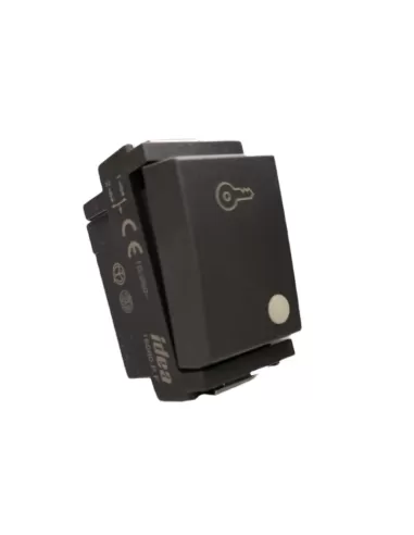 Vimar Idea 16080.PF Key Button Idea 1P 10A Gr