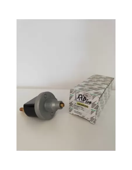 Menber's 08098300 manual battery switch with removable key 250A