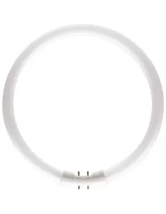 Philips Master T5 927965084013 lampada fluorescente 23,5 W 2GX13 G Bianco freddo