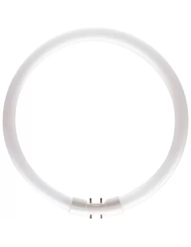 Philips Master T5 927965084013 lampe fluorescente 23,5 W 2GX13 G Blanc froid