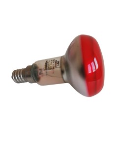 Ledvance r5040splgr lampada concentra r50 red sp 40w 230v e14